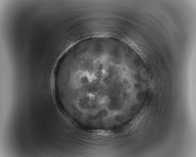 X0000097870347200803211319
