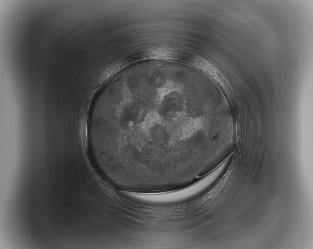 X0000097870349200803211319