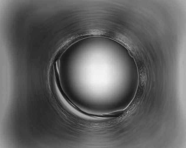 X0000097870350200803211319