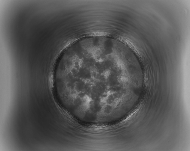 X0000097870351200803211319