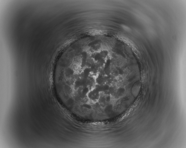 X0000097870353200803211319