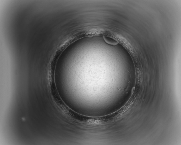 X0000097870354200803211319