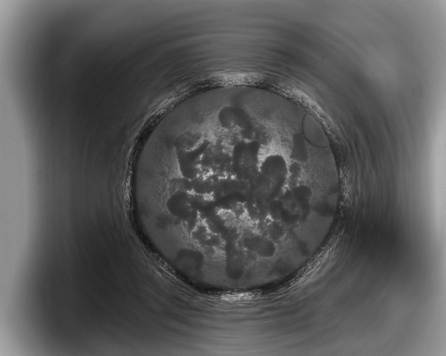 X0000097870357200803211319