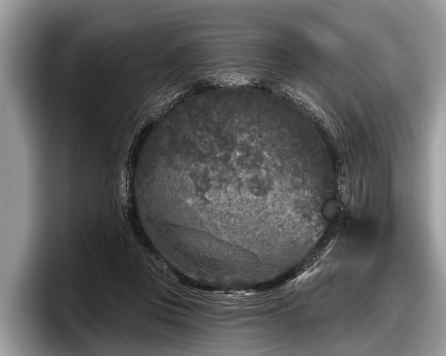 X0000097870359200803211319