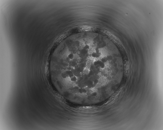 X0000097870361200803211319