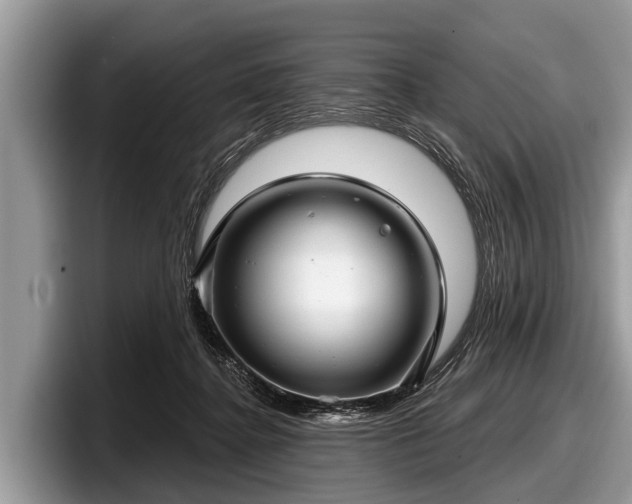 X0000097870364200803211319