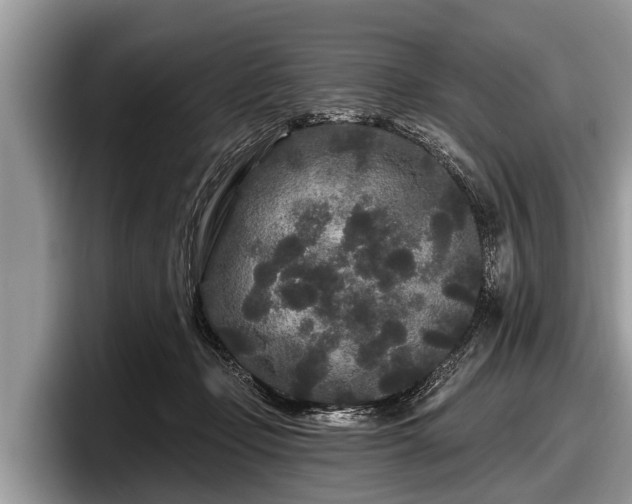 X0000097870365200803211319