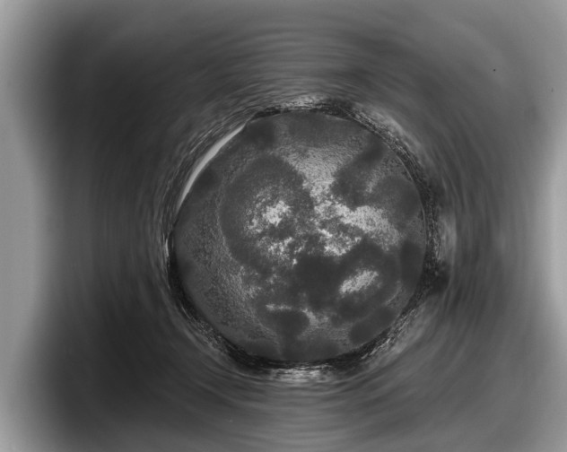 X0000097870366200803211319