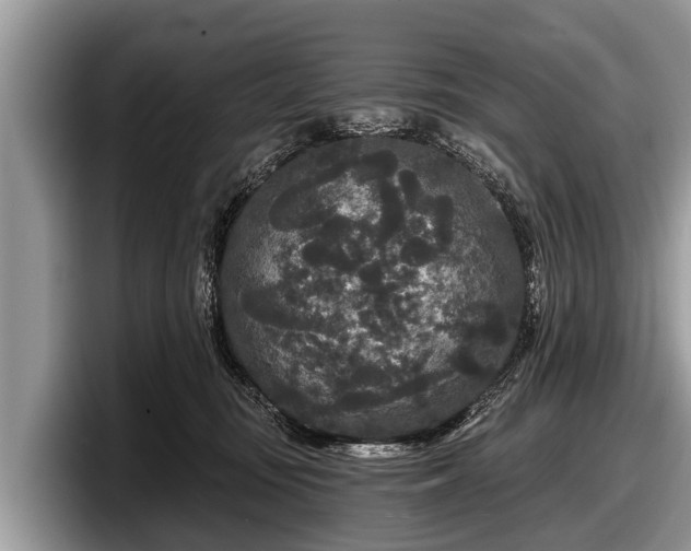 X0000097870371200803211319