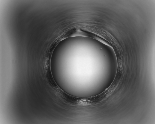 X0000097870372200803211319