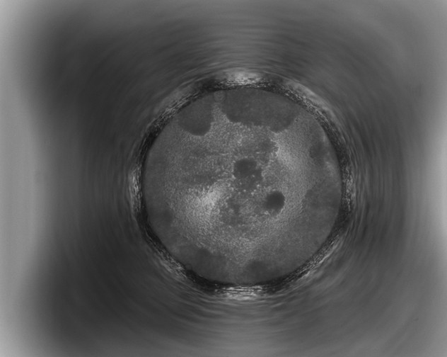 X0000097870373200803211319