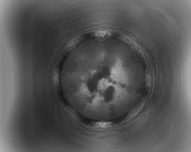 X0000097870375200803211319