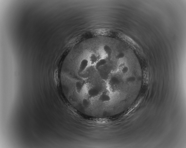 X0000097870377200803211319