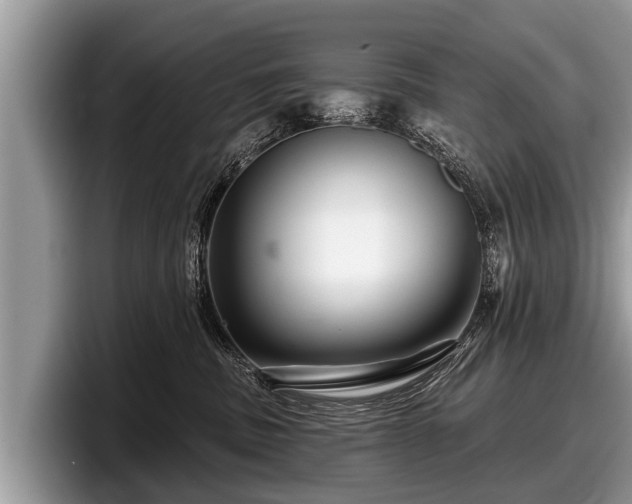 X0000097870379200803211319