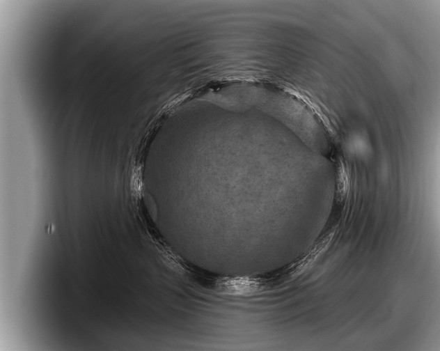 X0000097870383200803211319
