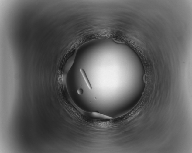 X0000097870384200803211319