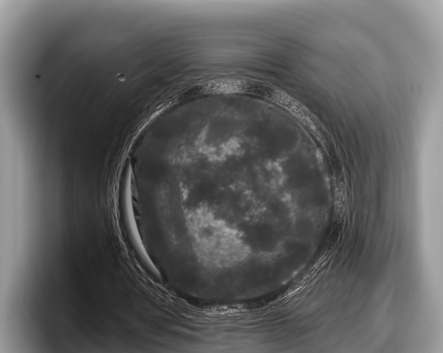 X0000097870386200803211318