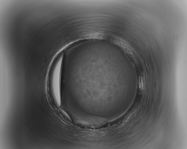 X0000097870388200803211318