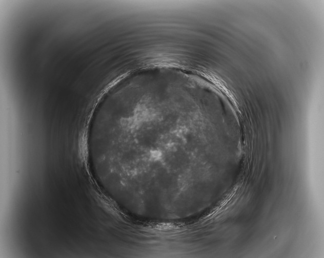 X0000097870390200803211318