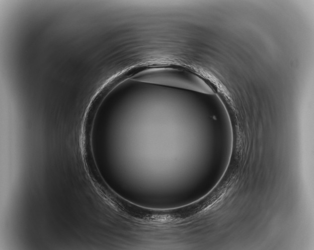 X0000097870391200803211318