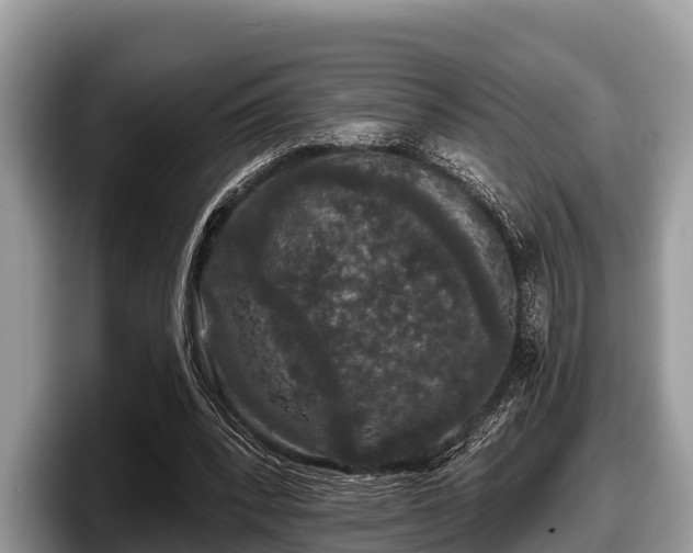 X0000097870392200803211318