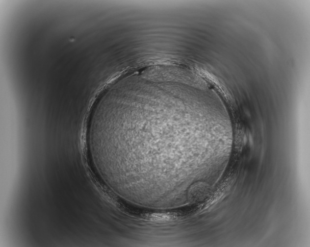 X0000097870394200803211318