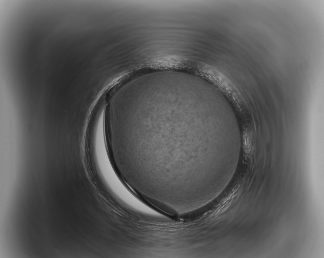 X0000097870396200803211318
