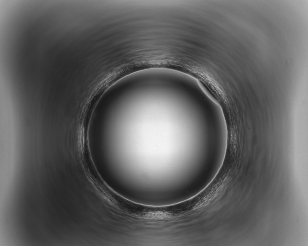 X0000097870397200803211318