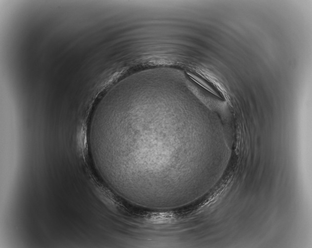 X0000097870398200803211318