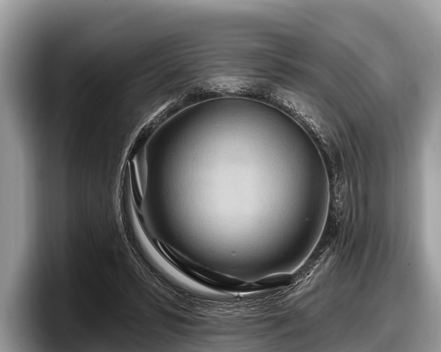 X0000097870399200803211318