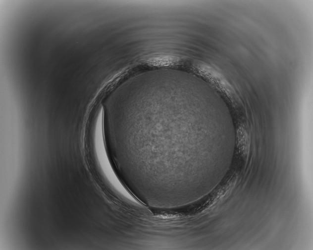 X0000097870400200803211318