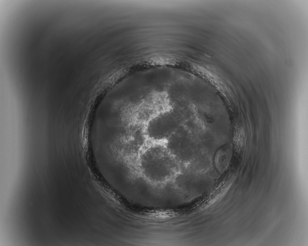 X0000097870402200803211318