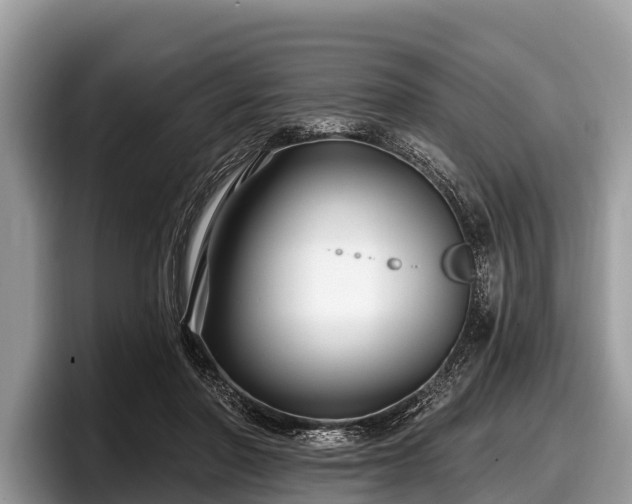 X0000097870406200803211318