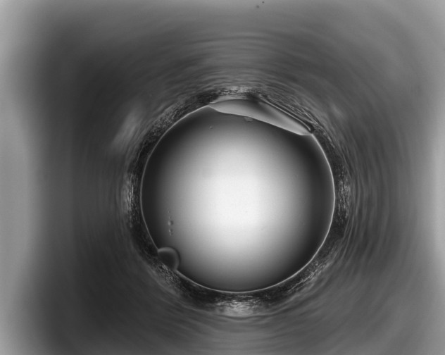 X0000097870412200803211318