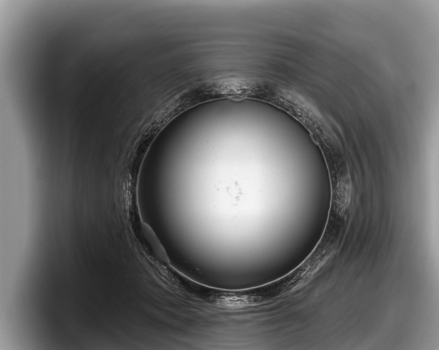 X0000097870413200803211318