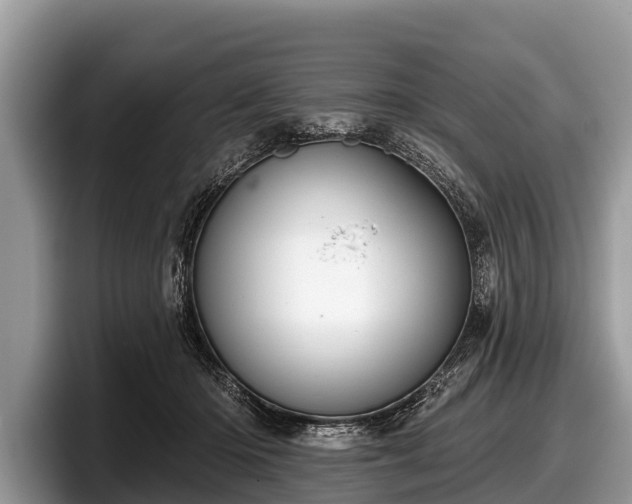 X0000097870414200803211318