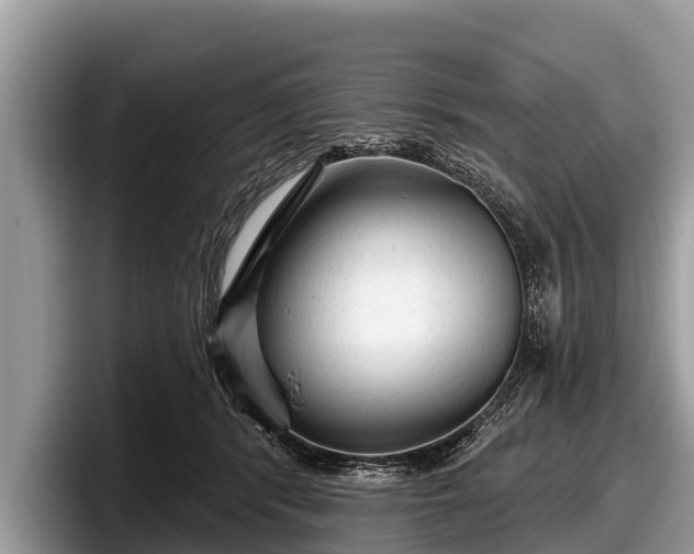 X0000097870416200803211318