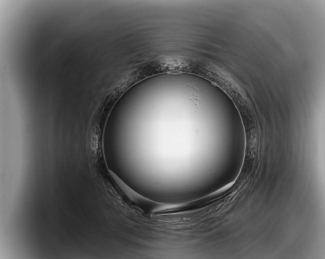 X0000097870417200803211318