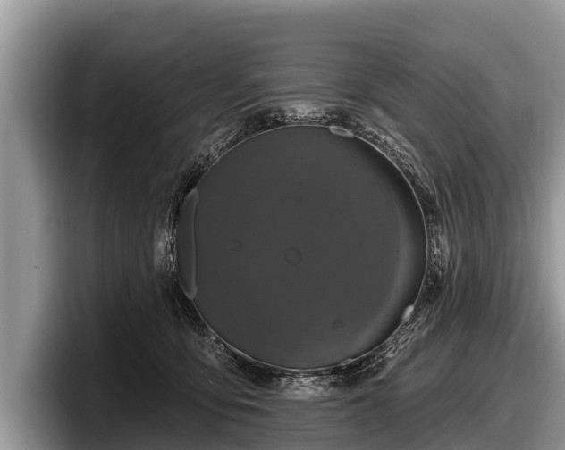 X0000097870419200803211318