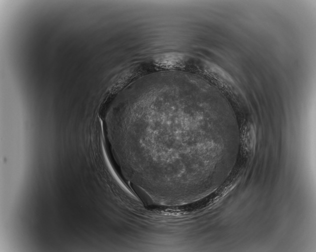 X0000097870420200803211318