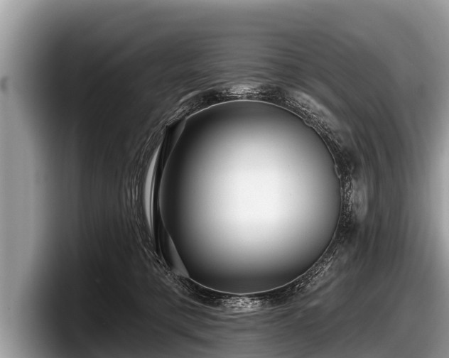 X0000097870421200803211318