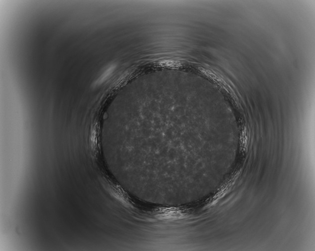 X0000097870424200803211318