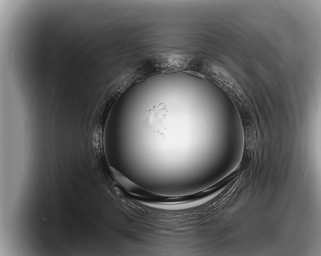X0000097870425200803211318