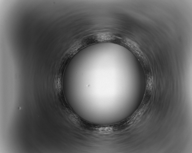 X0000097870426200803211318