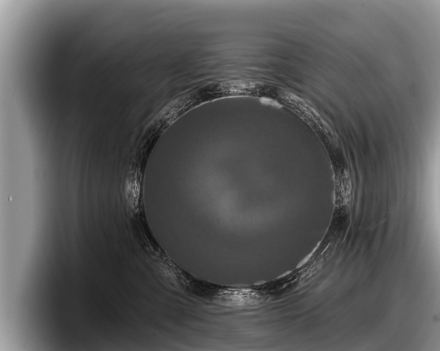 X0000097870427200803211318