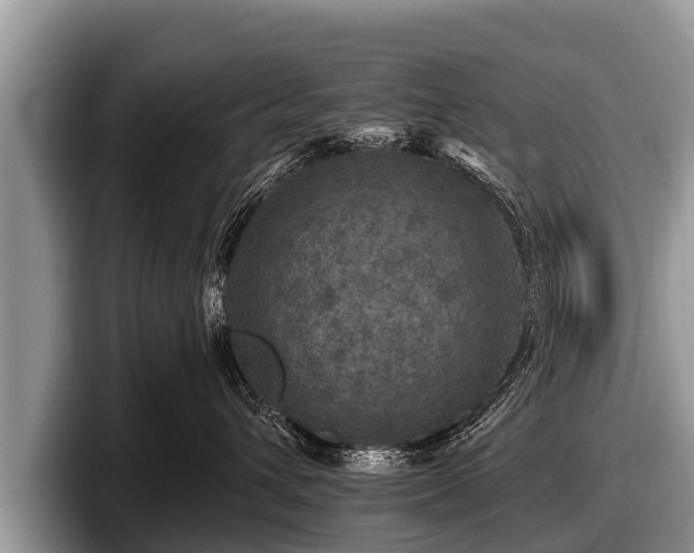 X0000097870432200803211318
