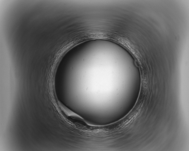 X0000097870433200803211317