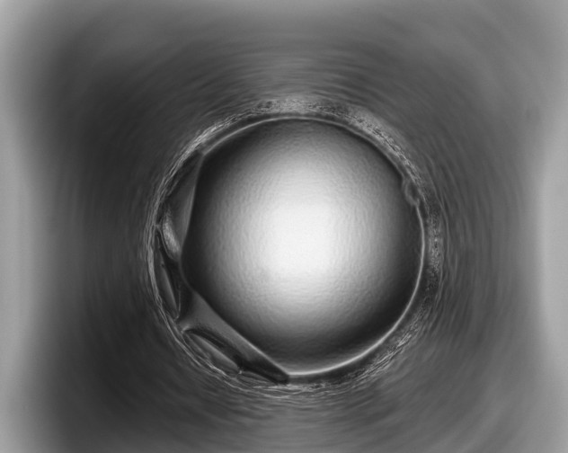X0000097870434200803211317