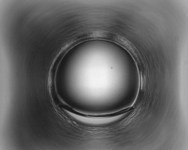 X0000097870435200803211317