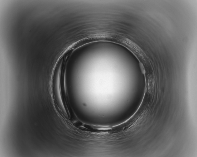 X0000097870436200803211317